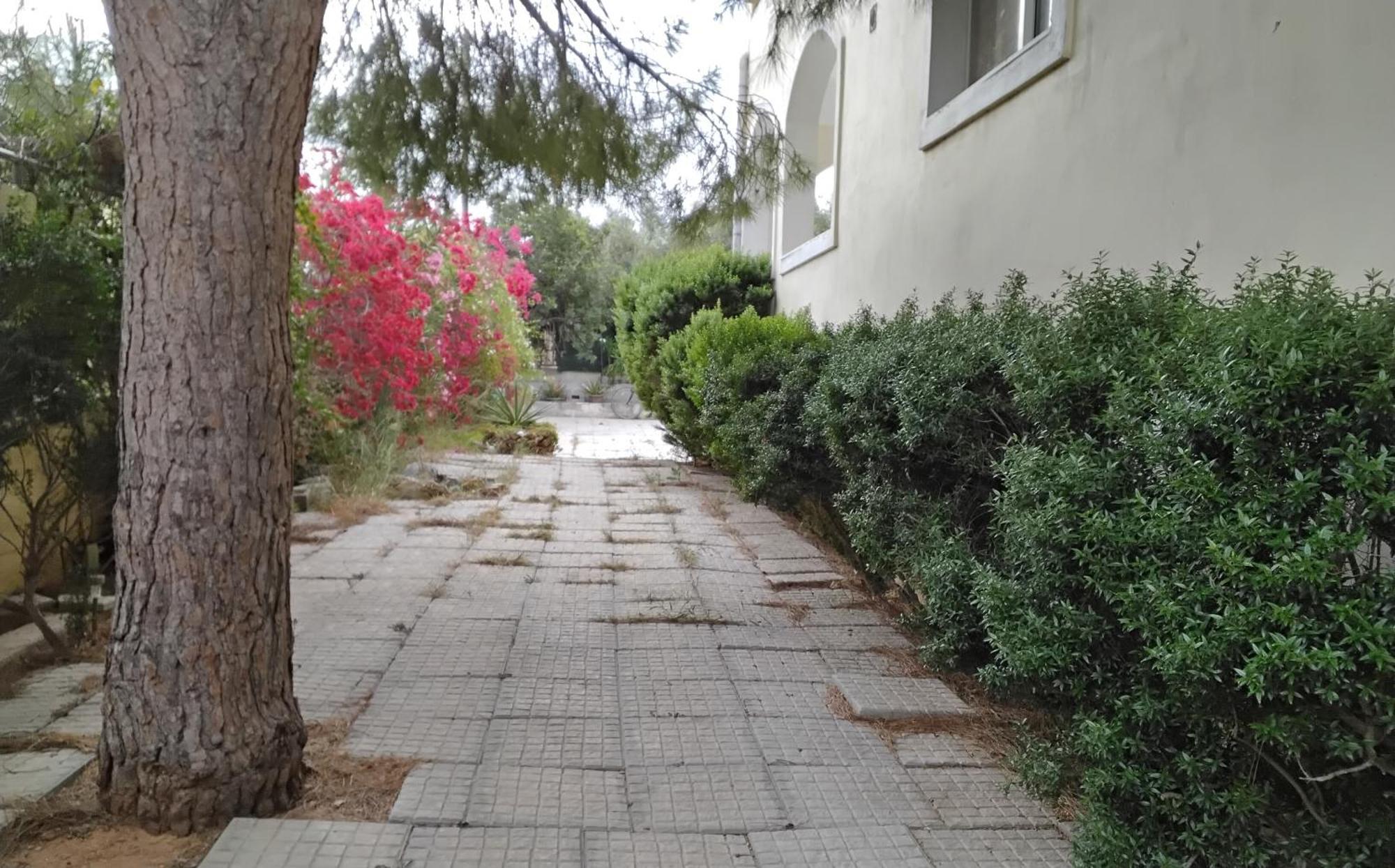 Appartement Peaceful Oasis à Athènes Extérieur photo