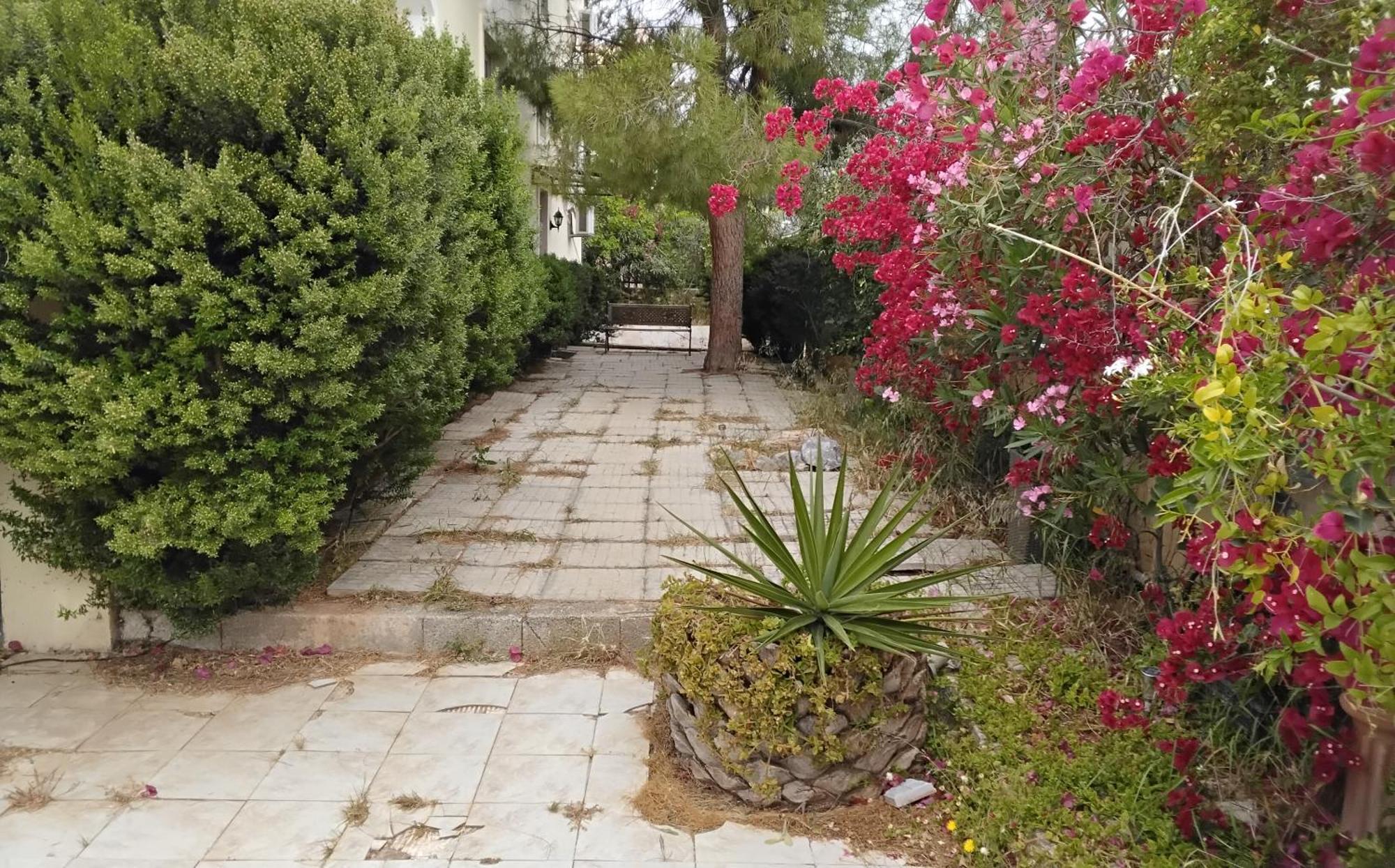 Appartement Peaceful Oasis à Athènes Chambre photo